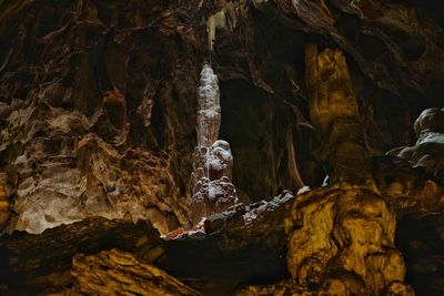 Close-up of cave