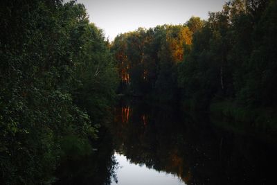 Scenic view of lake in forest against sky