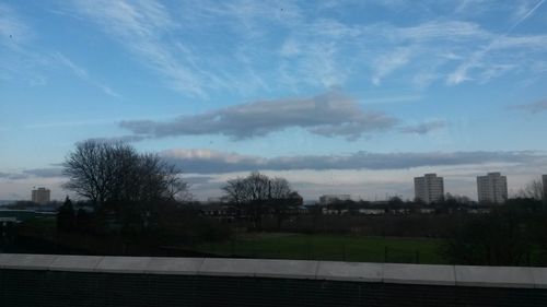 Trees against cloudy sky