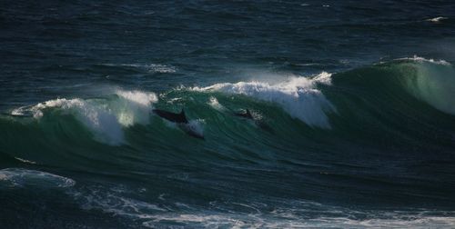 High angle view of sea