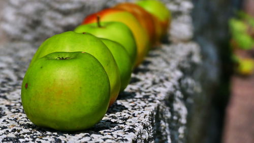 Close-up of apple on rock