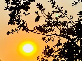 Low angle view of silhouette tree against sky during sunset