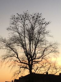 Silhouette tree against sky during sunset