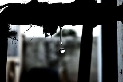 Close-up of water drops