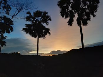 Silhouette palm trees against sky during sunset