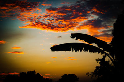 Low angle view of silhouette birds against orange sky