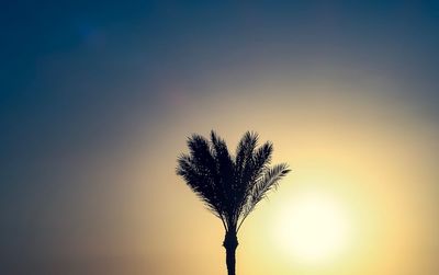 Low angle view of silhouette tree against sky during sunset