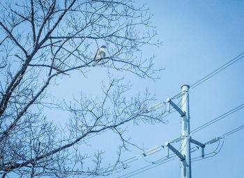 Low angle view of electricity pylon against sky