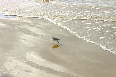 View of people on beach