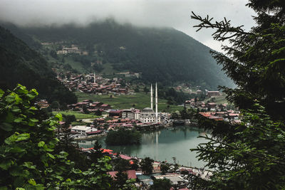 High angle view of buildings and trees in city