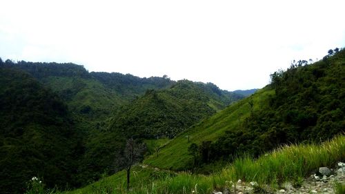 Scenic view of landscape against clear sky