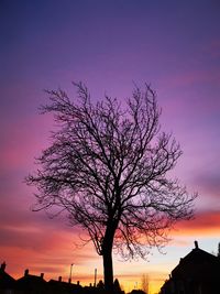 Silhouette bare tree against sky during sunset