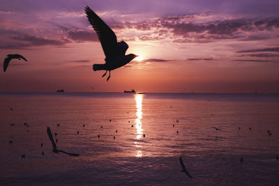 Silhouette bird flying over sea against sky during sunset