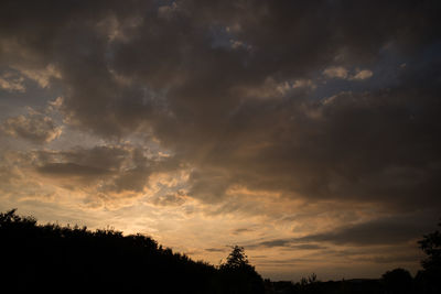 Low angle view of silhouette trees against sky at sunset