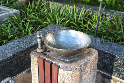 High angle view of water in garden