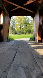 Trees seen through window