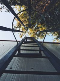 Low angle view of trees