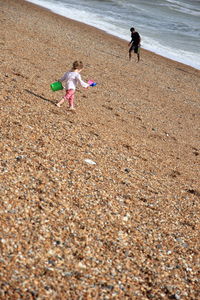 Dog on beach