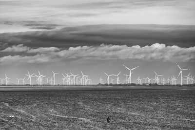 Windpark am meer