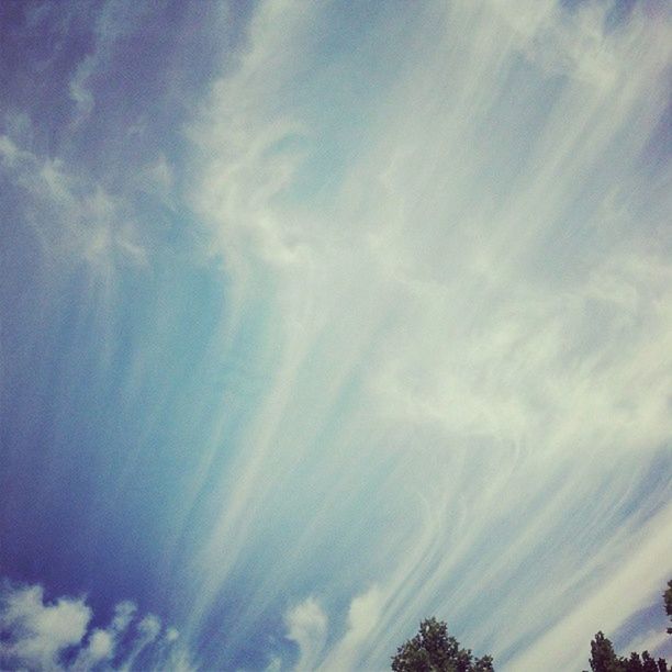 low angle view, sky, cloud - sky, tranquility, beauty in nature, tree, scenics, blue, nature, tranquil scene, cloudy, cloud, silhouette, outdoors, idyllic, sunlight, no people, day, high section, growth