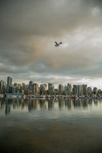 Birds flying over buildings in city against sky