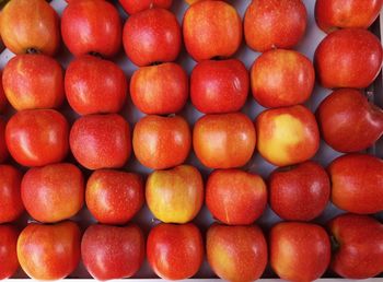 Full frame shot of oranges