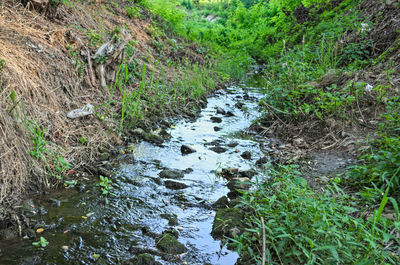 High angle view of water flowing in forest