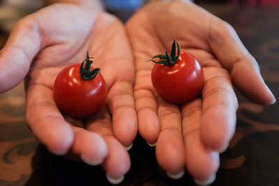 Close-up of hand holding small tomatoes