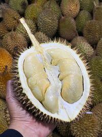 Close-up of hand holding fruit