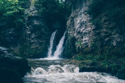Scenic view of waterfall in forest