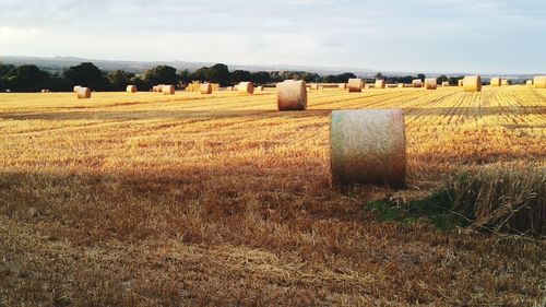 Hay bales on field against sky