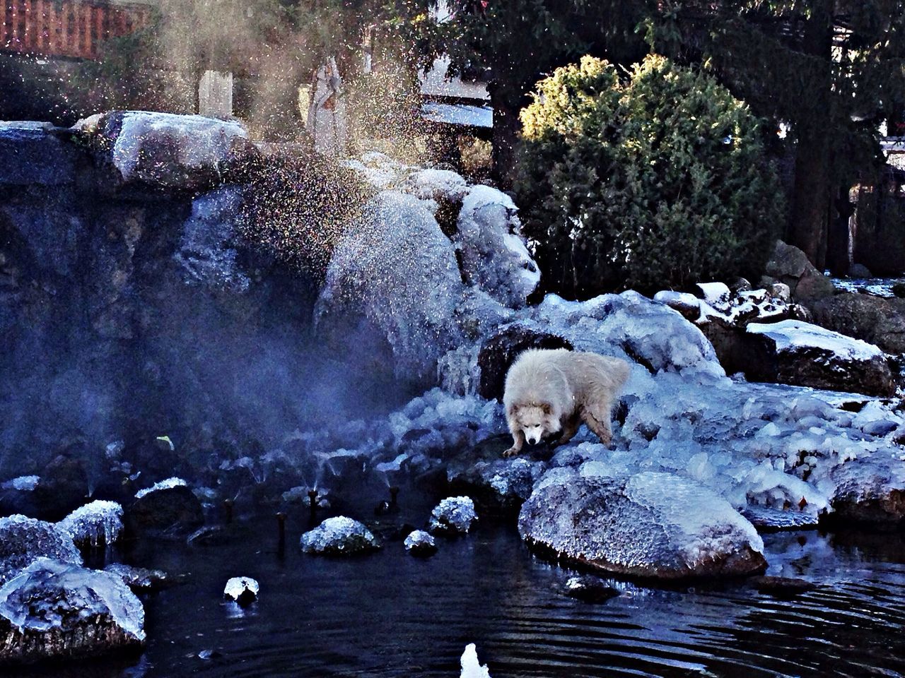 Площад Банско (Bansko plaza)