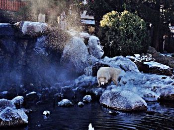 Water splashing on rocks