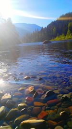 Scenic view of lake