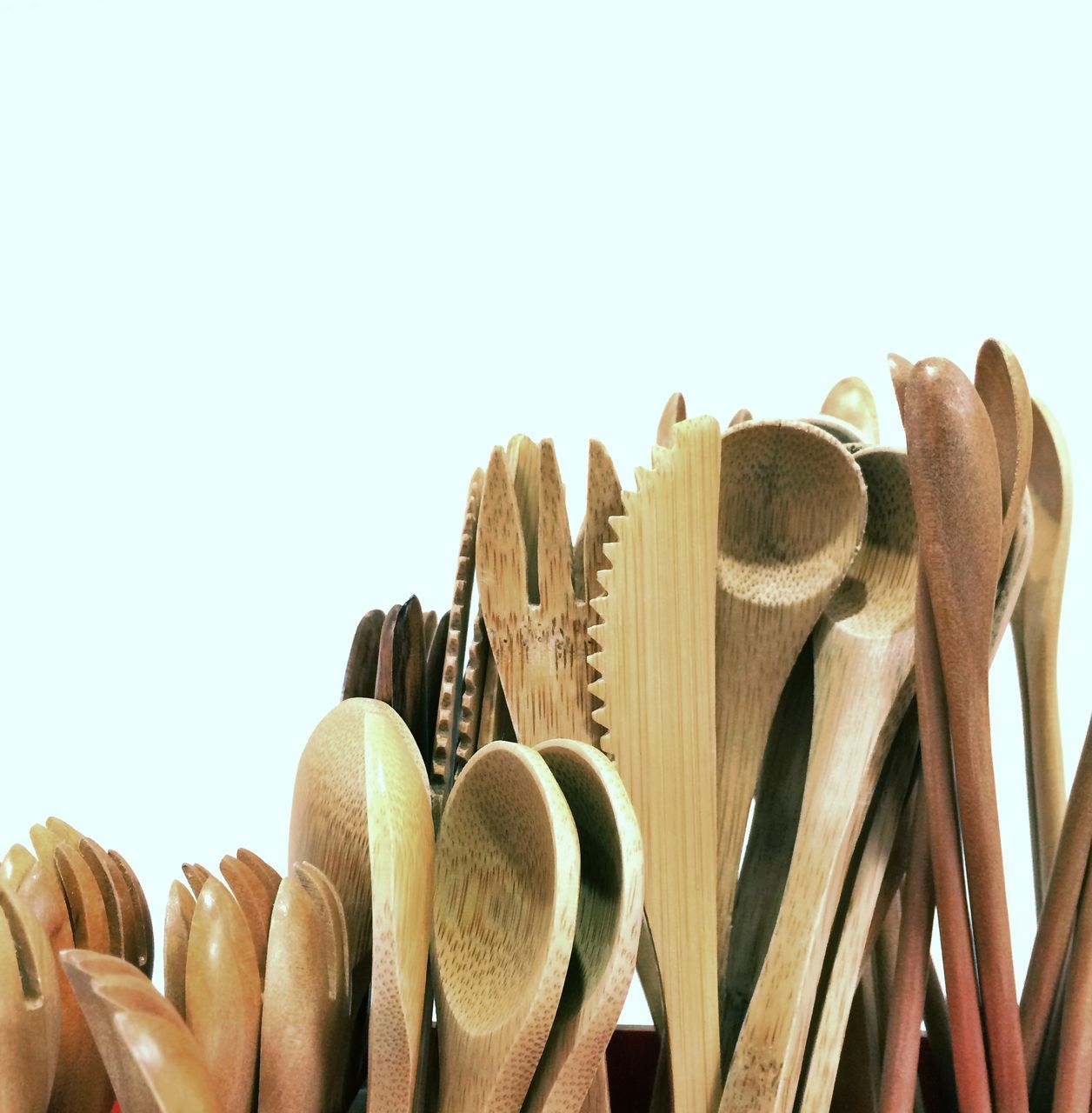 clear sky, large group of objects, abundance, stack, in a row, copy space, low angle view, close-up, arrangement, side by side, brown, no people, day, group of objects, cactus, outdoors, sky, wood - material, nature, heap