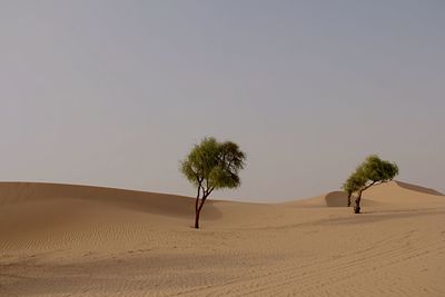 Scenic view of desert against clear sky