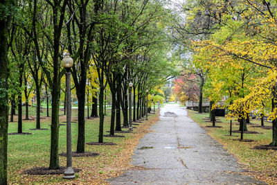 Footpath amidst trees in park during autumn