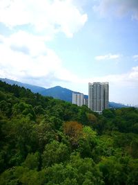 Trees and buildings against sky