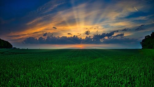 Scenic view of field against sky during sunset