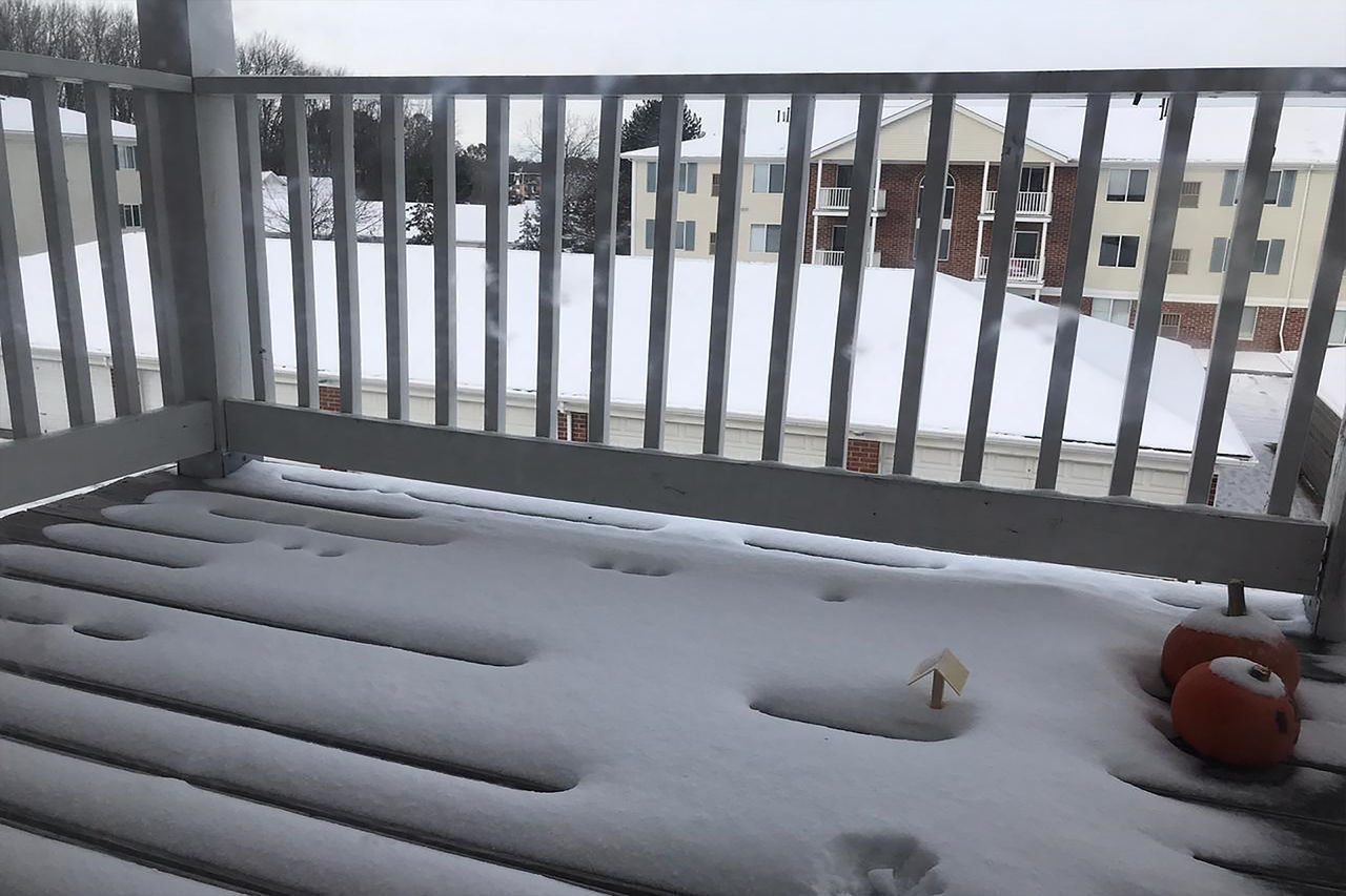 HIGH ANGLE VIEW OF SNOW ON RAILING