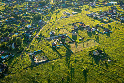 High angle view of agricultural field