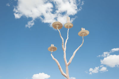 Low angle view of flowering plant against blue sky