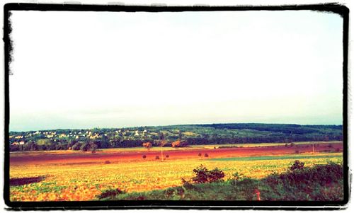 Scenic view of field against sky