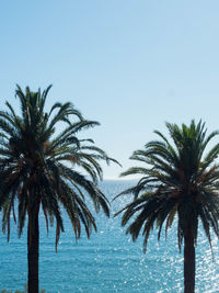 Palm trees by sea against clear sky