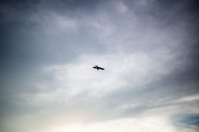 Low angle view of airplane flying in sky