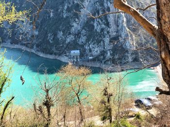 Scenic view of sea against trees