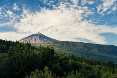 Scenic view of landscape against cloudy sky