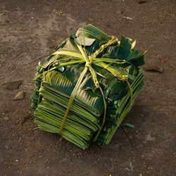 High angle view of folded banana leaves on field