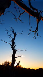 Low angle view of silhouette tree against sky at sunset