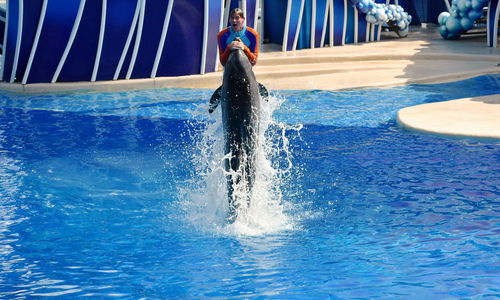 Man splashing in swimming pool